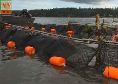 Extruded Square Nuôi trồng thủy sản lưới nhựa Oyster lưới 1m rộng màu đen