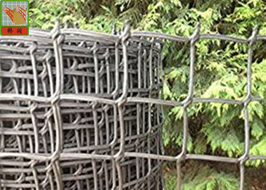 Vườn lưới lưới cho cây leo hỗ trợ lỗ mở 19 mm 0,5 mét rộng
